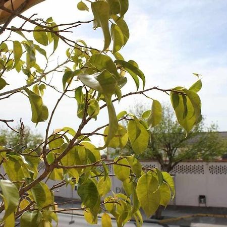 Monkeys Apartments Sanlucar Beach Relax Sanlucar de Barrameda Exterior photo
